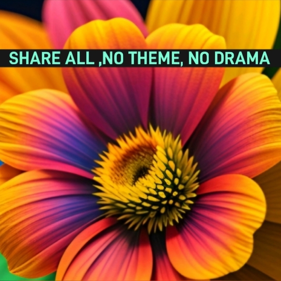 Live Listing Free Shipping Friday ( free shipping on ALL my items only)11pm c - Picture 3 of 4